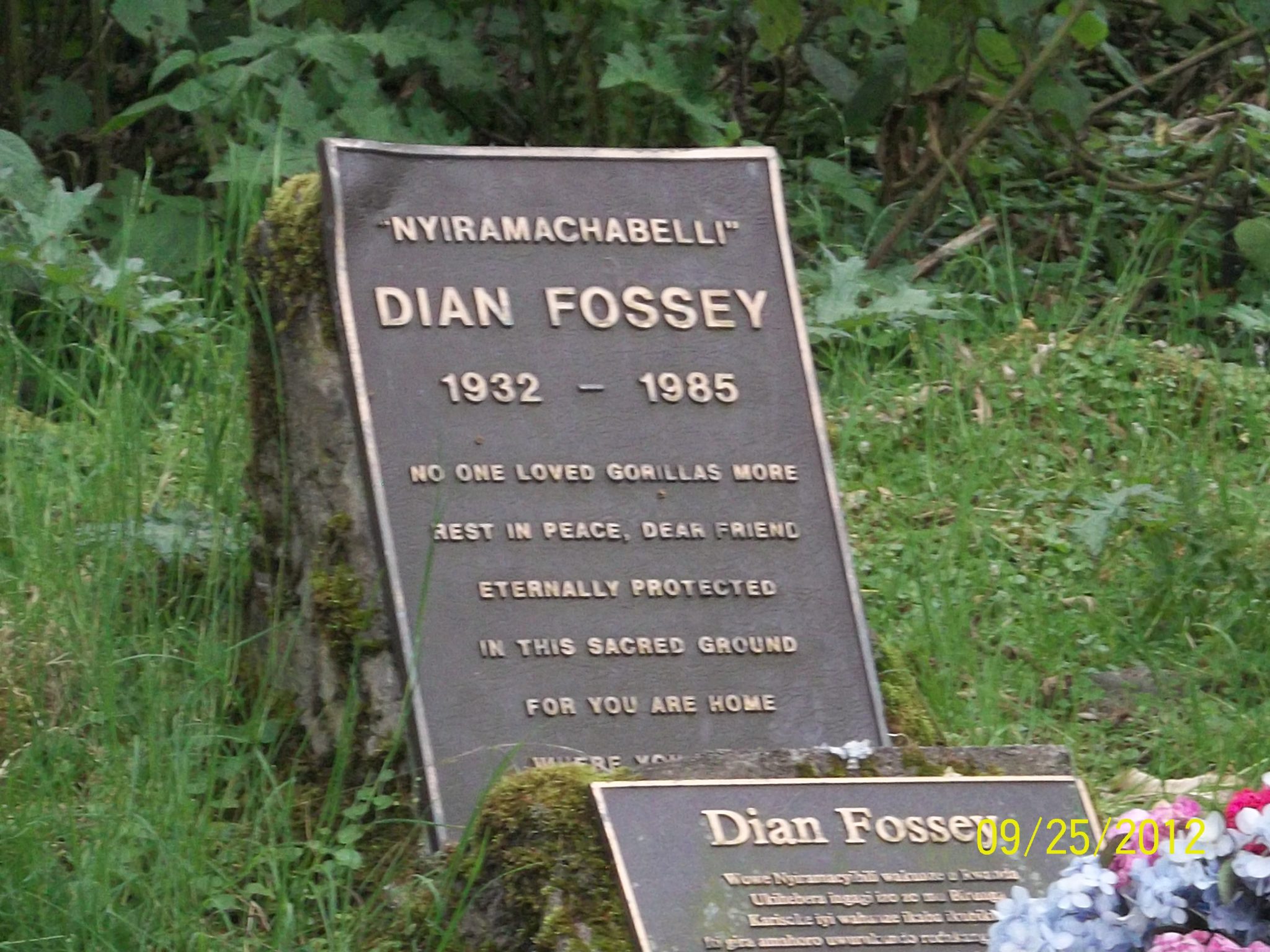 Dian Fossey Grave Hike and Karisoke Research Camp