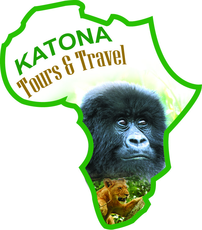 Book a gorilla trekking with Katona Tours
