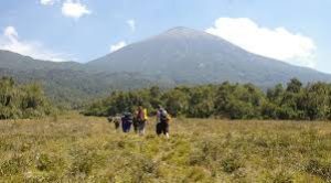 Mt. Karisimbi Volcano